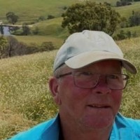 Don Shaw