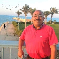 Reda Elnady