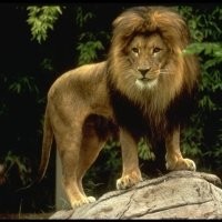 Karthikeyan Subramaniam