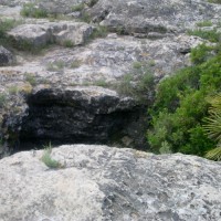 Isabel Sanchis Sanchis