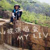 殷晓清
