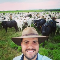 Bernardo Guedes Paiva
