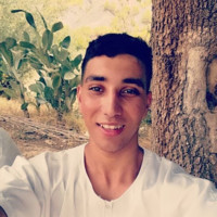 Ahmed Ahmed