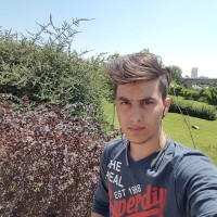 Ali Shahryar