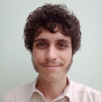 Vinícius Emanoel Mendes