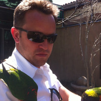 Hugo van der Walt