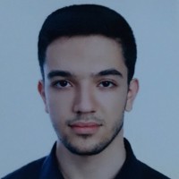 Mohammadhossein Mortazavi