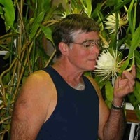 Mike Harmes