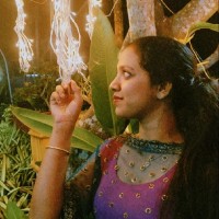 Drisya Raj
