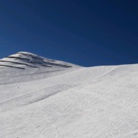 Dietmar Humer