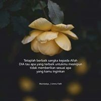 Nur Nur