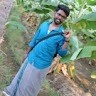 Mari Chandru