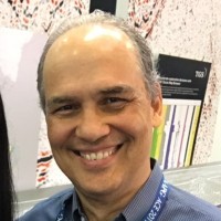 Reinaldo J Michelena