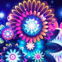 Haneris S