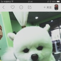 安晓敏