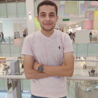 Ahmed Emad El-Din