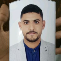 Mohamed Khaled Ahmed