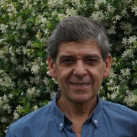 Marcelo Frola