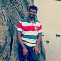 Ramanarayanan Bagavathy