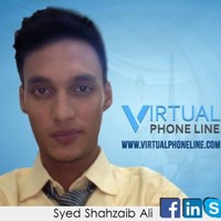 Syed Shahzeb Ali