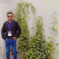 Muhammad Safdar Hussain