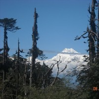Baichung Lepcha