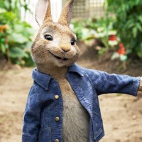 peter rabbit