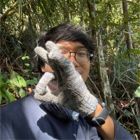 Haziq Fadzil