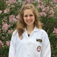 Allison Landis
