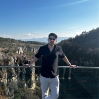 Hikmet Çağrı Işık