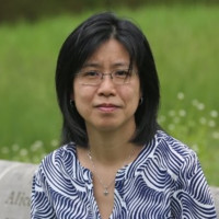 Stella Wang