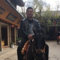 刘大龙