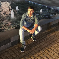 Vijay Malik
