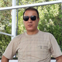 Bahram Arabi