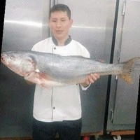 Jian Carlos Mejia Huarcaya