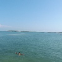 周哲宇