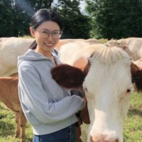 Jingjing Liu