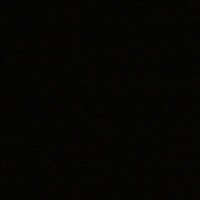 harrington sebenzile ngxiki