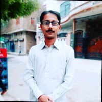 Syed Hamza Mahmood