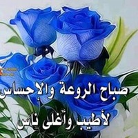 Lho Ayoub