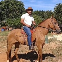 Wagner Prado