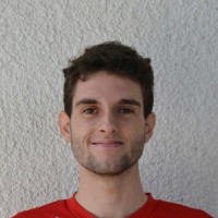 Luca Pigozzi