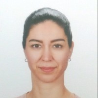Göktem Bilgin