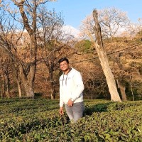 krishna kumar rai