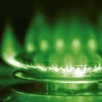 Frédérique DUVINAGE