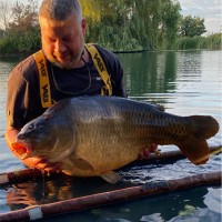 Steve Archbold