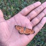 S.Naveenkumar Naveen