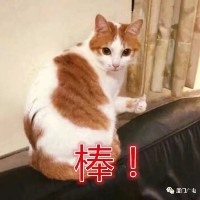代华强