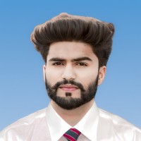 MUHAMMAD NABEEL MALIK