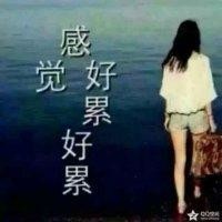 徐敬磊